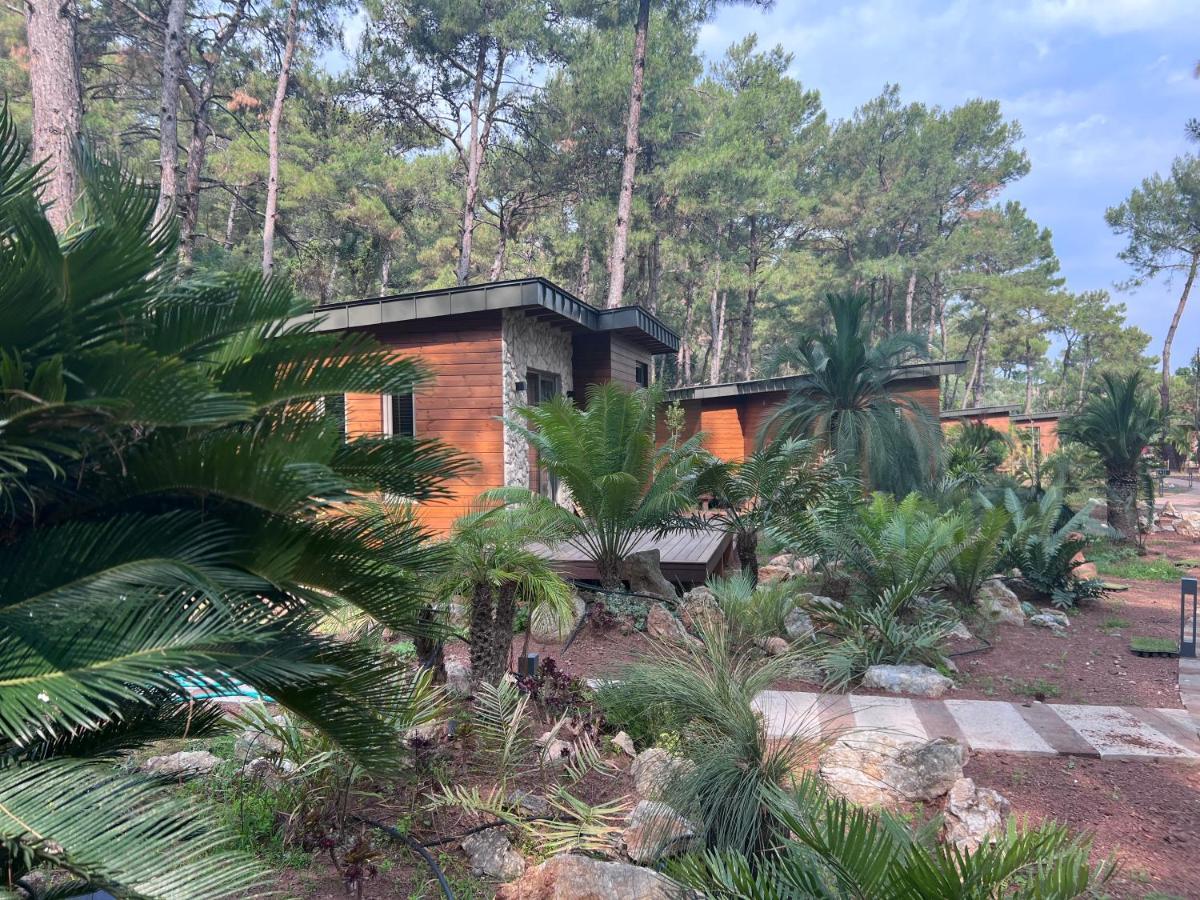 Ada Capra Hotel Marmaris Exterior photo